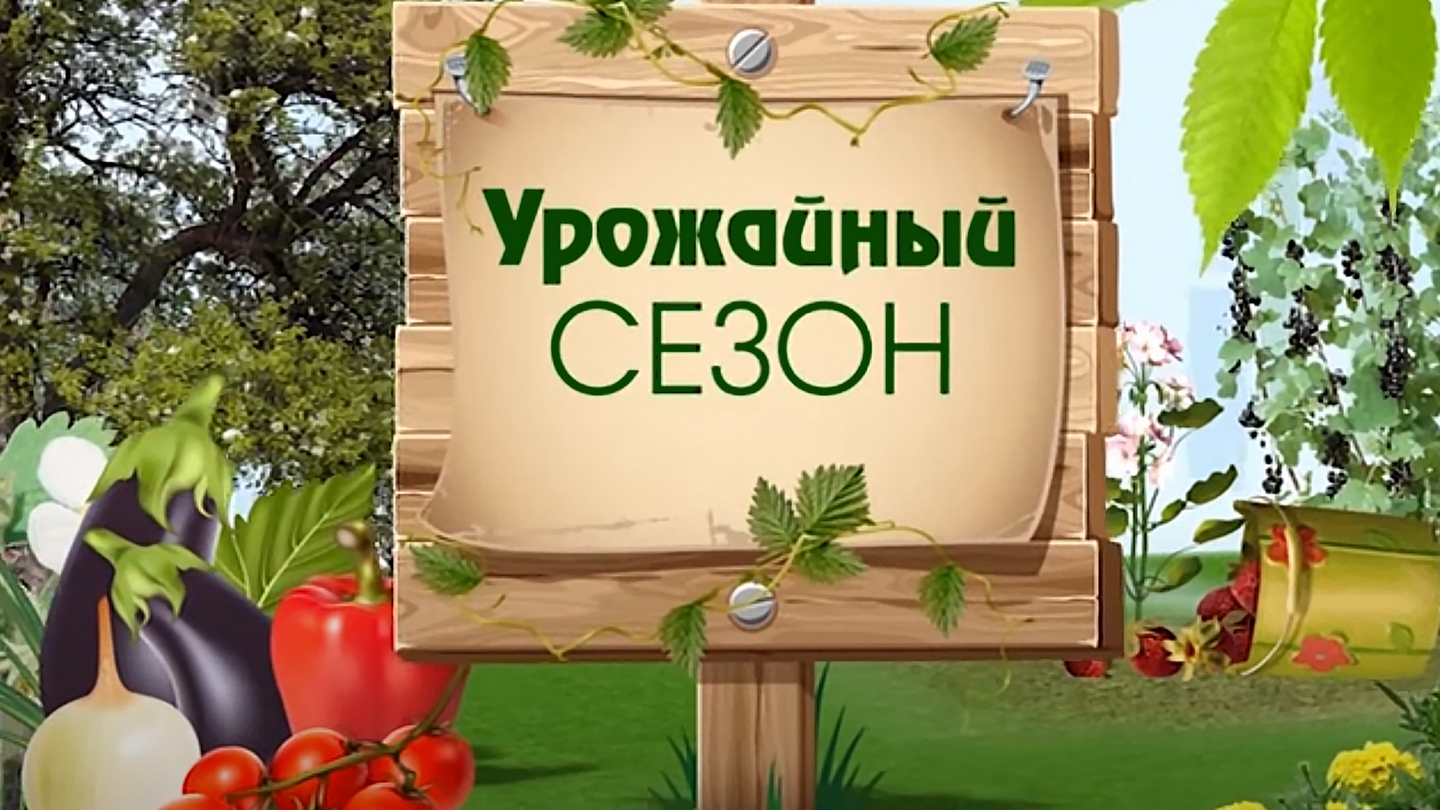 Грядка логотип